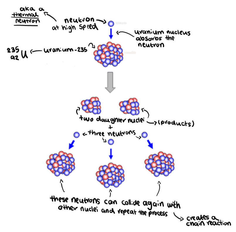 <ol><li><p>neutron travelling fast collides with a Uranium-235 nucleus</p></li><li><p>The Uranium-235 absorbs the neutron</p></li><li><p>The Uranium-235 + nucleus splits, creating two daughter nuclei and an amount of neutrons</p></li><li><p>The neutrons created can then go on to collide with other Uranium-235 nuclei and repeat the process, creating a chain reaction</p></li></ol><p></p>