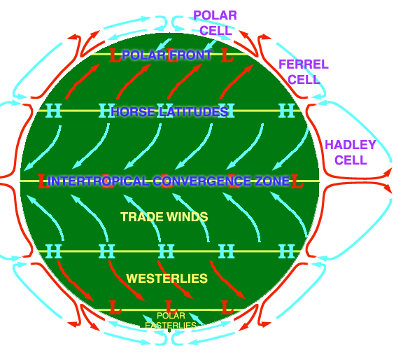 <p>convection cells: Hadley, Ferrell, Polar</p>