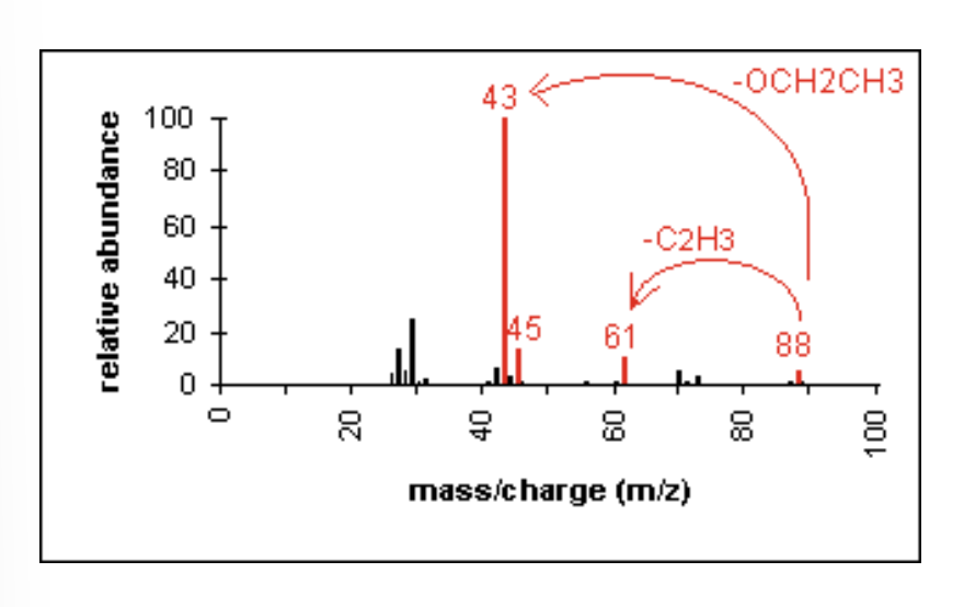 <ul><li><p>fragments appear due to bond cleavage next to C=O (alkoxy group loss, -OR)</p></li><li><p>also appear due to hydrogen rearrangements </p></li></ul><p></p>