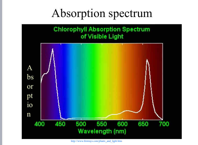 <p>Absorbtion Spectrum</p>