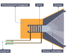 <p><span style="background-color: transparent;"><span>How does a speaker work? Refer to the diagram below.</span></span></p>