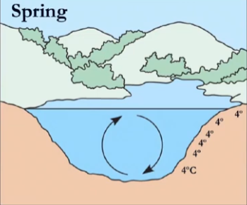 <p>why is it 4 all throughout in spring?</p>