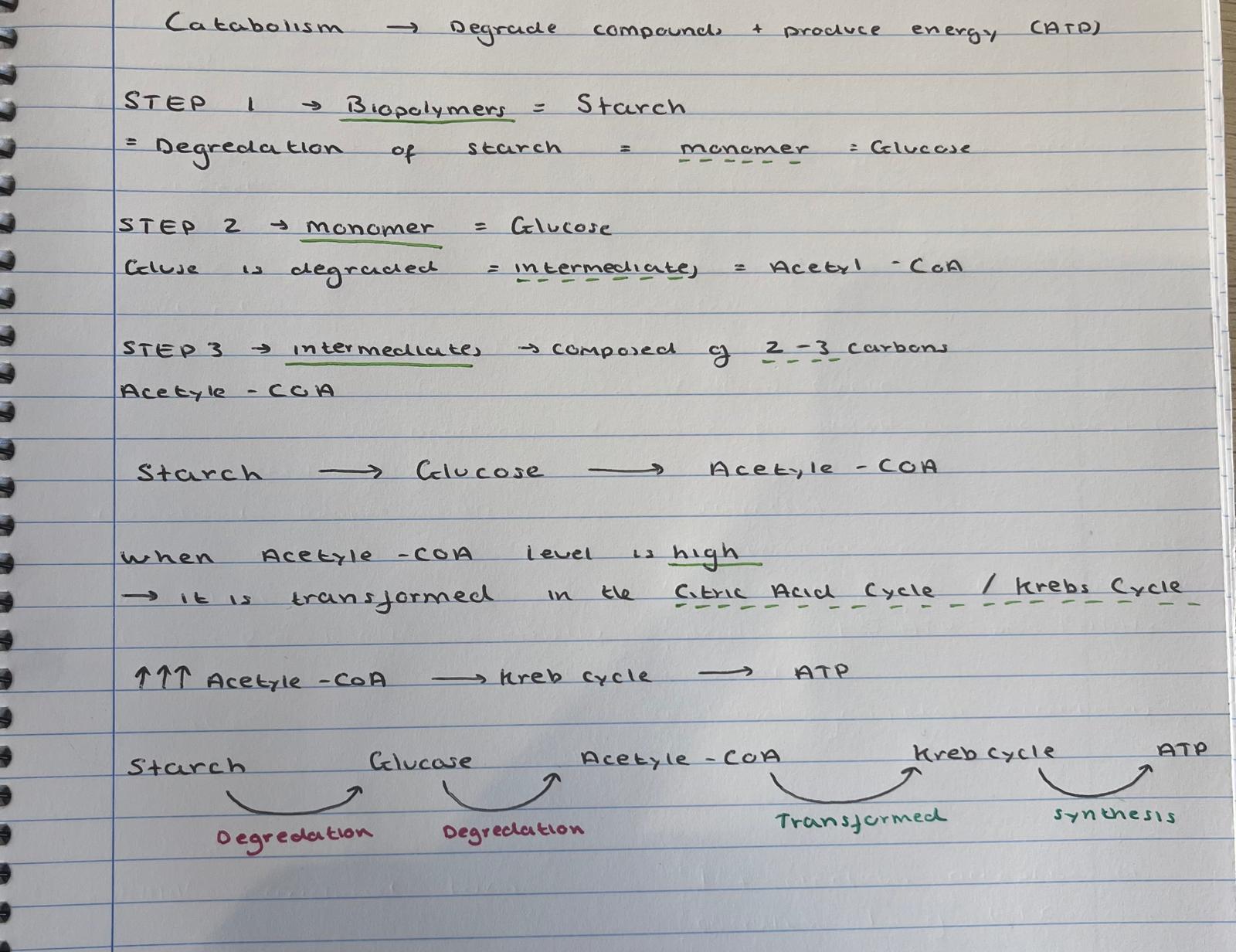 <p>catabolism - read </p>