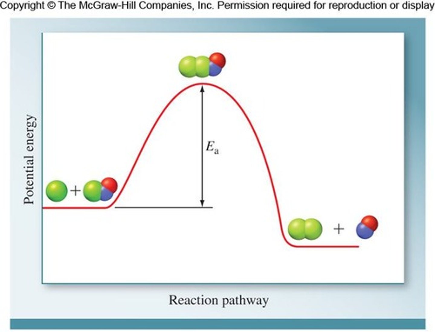 <p>Lowering Ea increases the reaction rate, facilitating the formation of the transition state.</p>