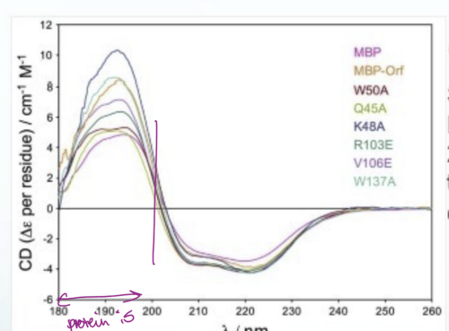 <p>Go to a wavelength of 190 and if pheta is above 0, the protein is folded</p><p>Tends to be noisy at very small wavelengths</p><p>region between 210-290 nm deviates since most transitions in this region are due to aromatic pi-pi*</p>