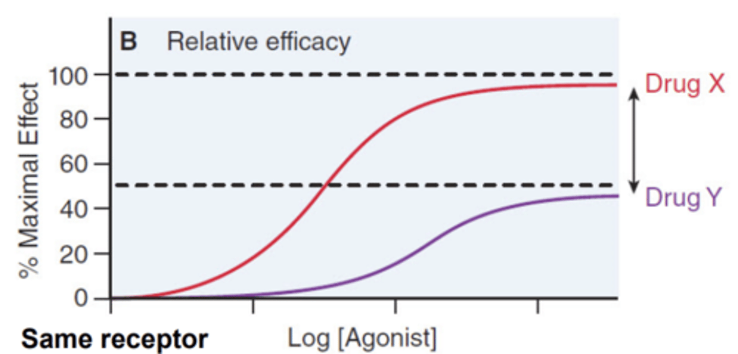 <p>Drug X is more effective than drug Y</p><p>- drug X is more potent than Y</p>