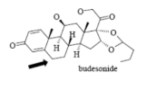 <p>Name Enzyme&nbsp;</p>