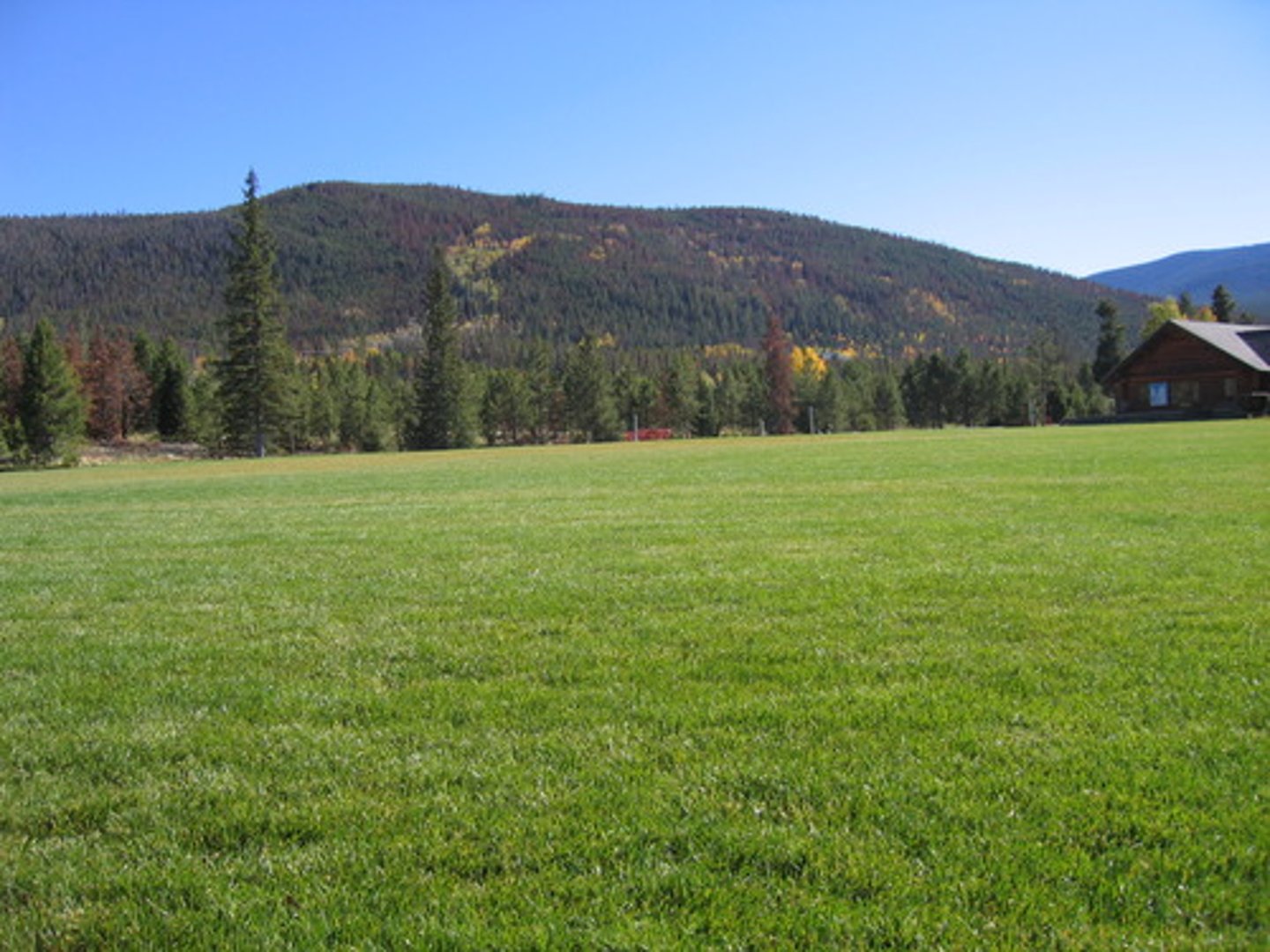<p>countryside; field</p>