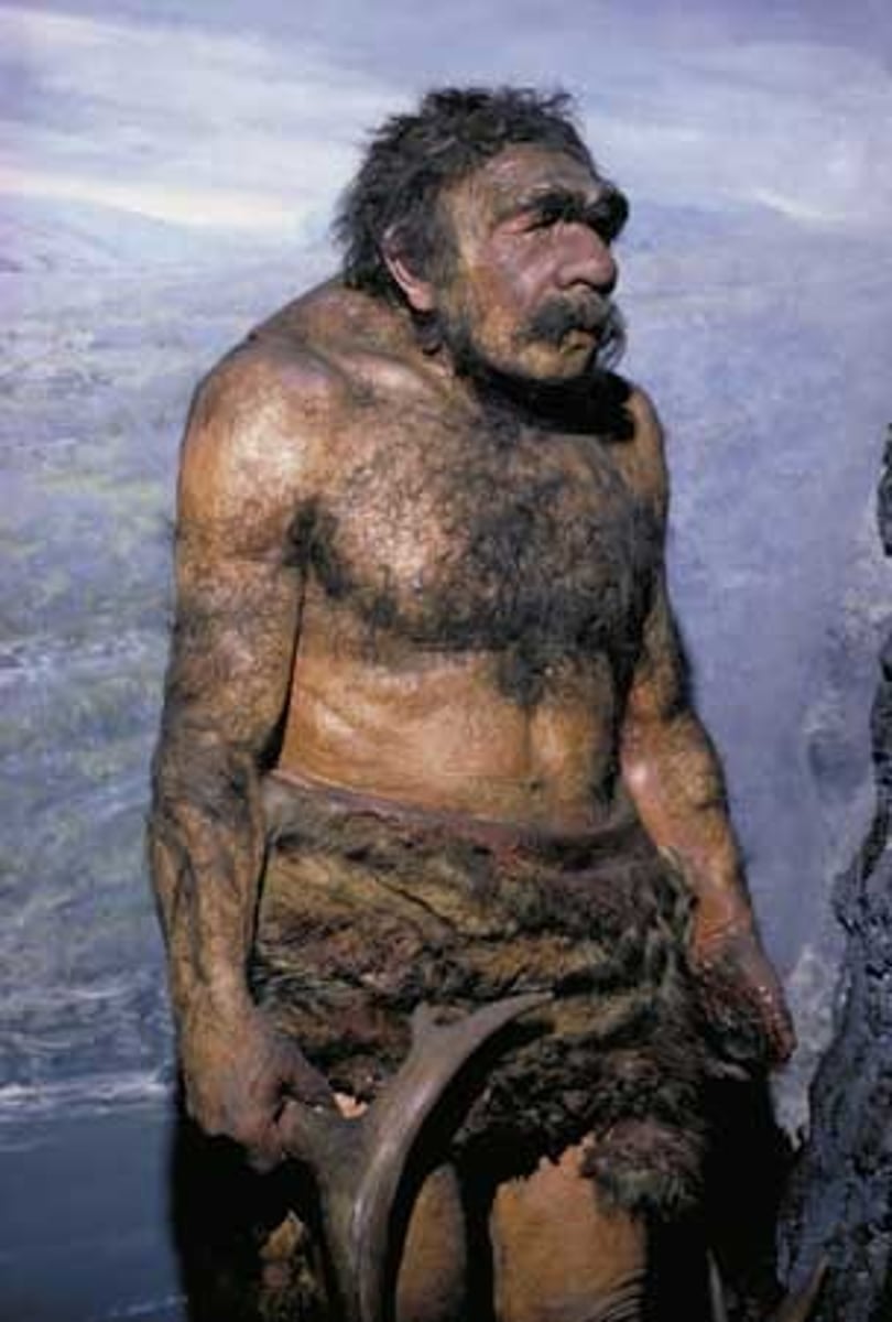 <p>Europe + Middle East, 300-35KYA, Bones marked with muscle, cotrical bones and large joints. Larger than modern humans, had tools</p>