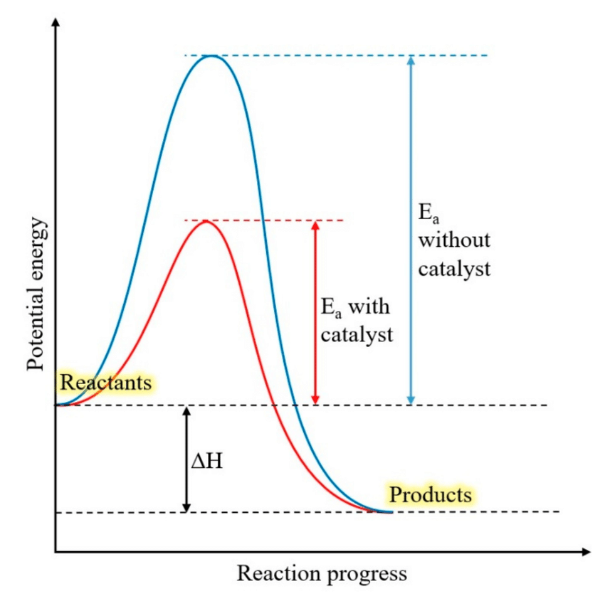 <p>The minimum energy required to initiate a chemical reaction. </p><p>Activation energy is used to break or weaken the bonds in the substrate. </p>