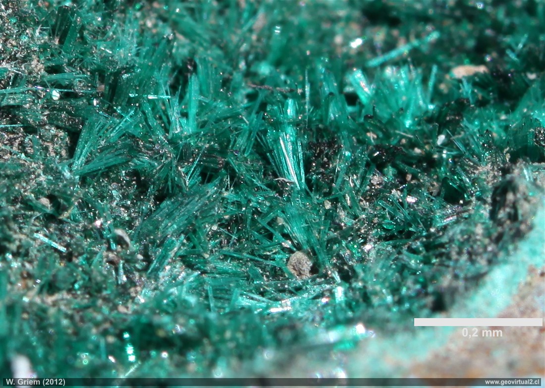 <p>Busca cristales de <strong>color verde brillante a verde oscuro</strong> con forma de <strong>agujas finas y alargadas (prismáticas)</strong>, a menudo agrupadas como los pinchos de un erizo o radiando desde un centro. Su brillo es como el del vidrio.</p>