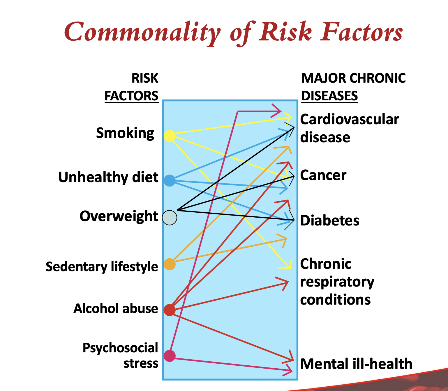 <p>there is a major commonality of risk factors leading to many major chronic diseases. </p>