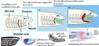 <p>Composite Theory</p>