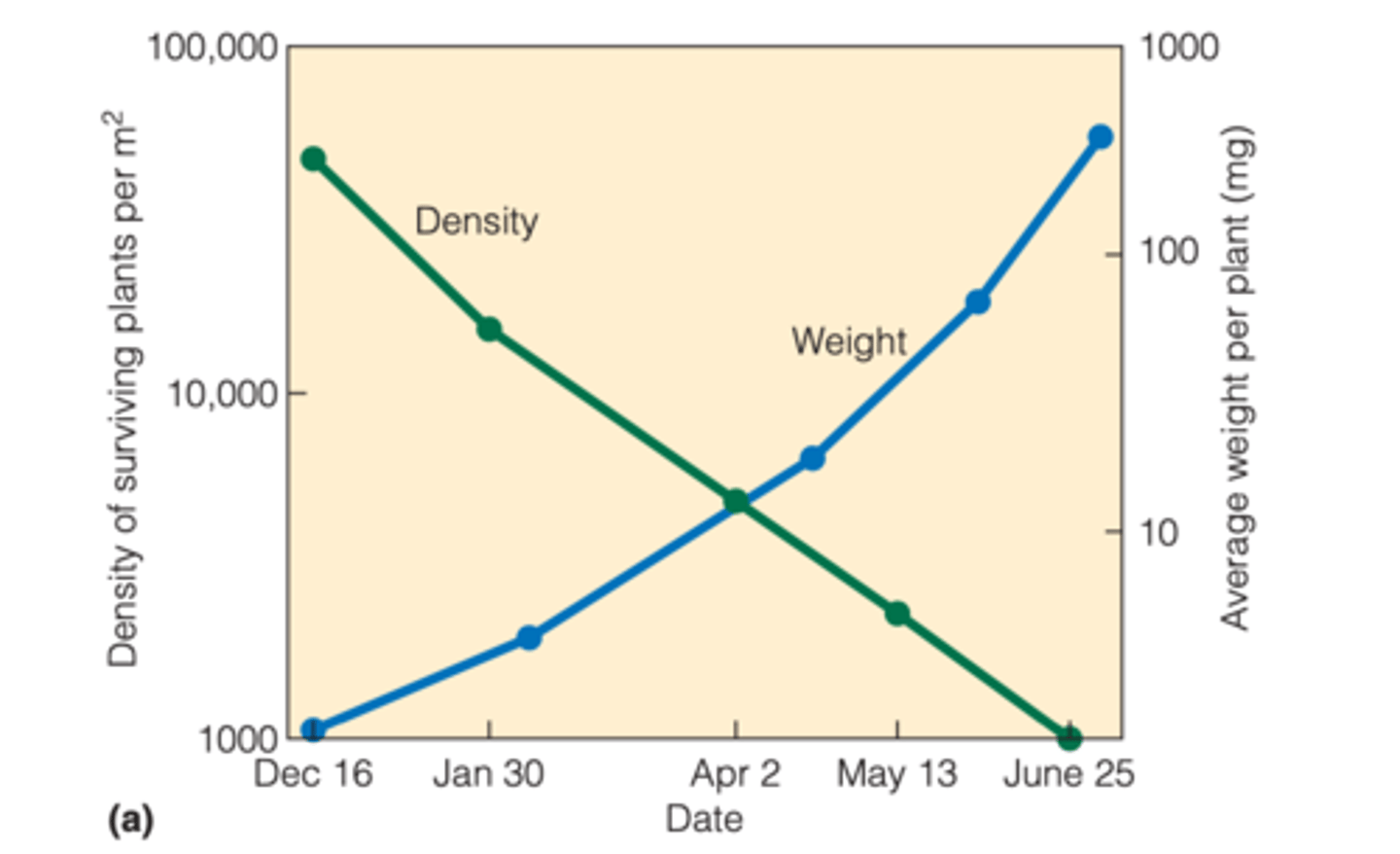 <p>remaining seedlings i↑ in size because per capita resource availability was ↑ by the death of 99% of the seedlings</p><p>---------------</p><p>AKA: self thinning</p>