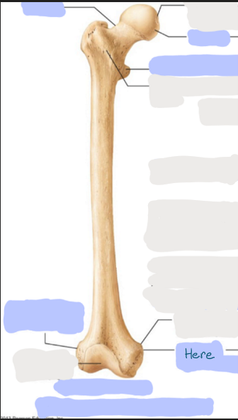 <p>What is here?</p>