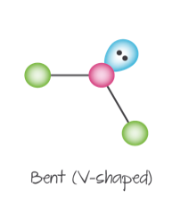 <p>molecular geometry: bent/v-shaped</p><p>domain geometry: trigonal planar</p><p>bonding angles: 118°</p>