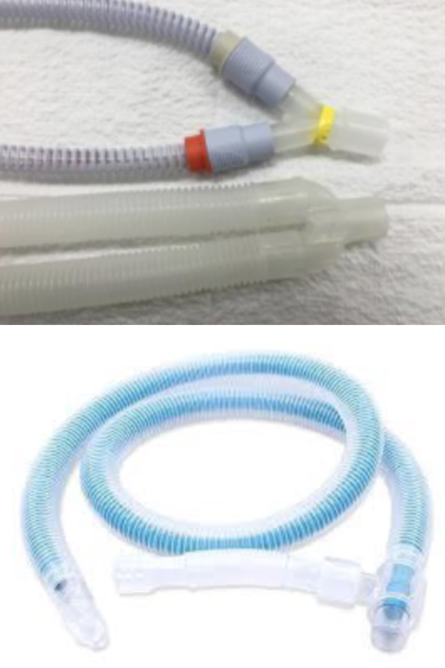 <p>name this component and which breathing system it belongs to</p>