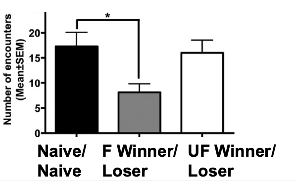 <p>-Small males didn’t escalate against large males</p><p>-Large won in 99% of the fights</p><p>-Fewer encounters between losers and familiar winners than losers and unfamiliar winners</p>