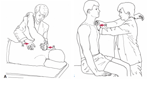 <p>Strengthening: on R/L Serratus Anterior /Lower Trapezius x 6sH x 10 reps x 3 sets to develop balance in length and strength of shoulder girdle muscles</p>