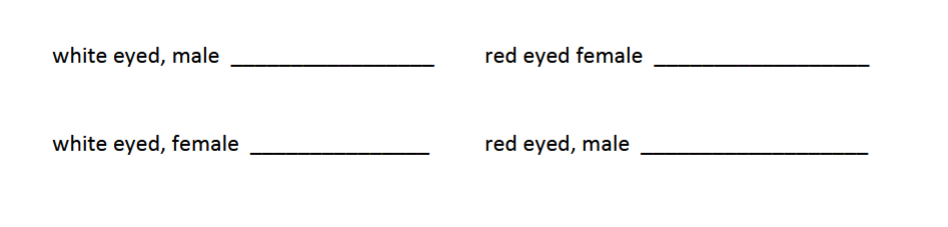 <p><span>What are the genotypes of the following fly phenotypes (NOTE: there may be more than one possible genotype): (R is red, r is white, R is dominant, only on the X chromosome)</span></p>