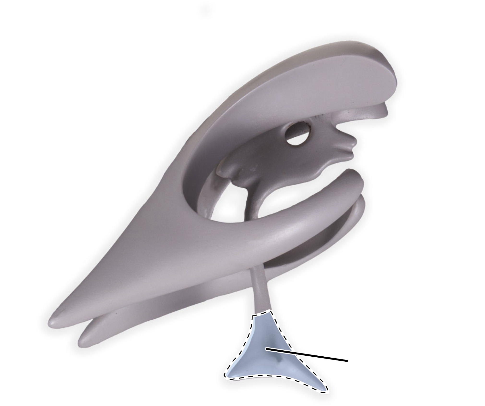 term image