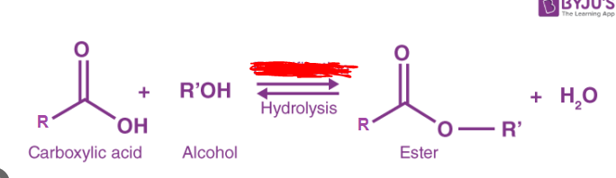<p>The process of creating an ester bond. During this process dehydration synthesis occurs to make the bond. These bonds occur between carboxylic acids and alcohols. Note that during _____ the carboxylic acid always provides a hydroxyl group and the alcohol always provides the H atom.</p>