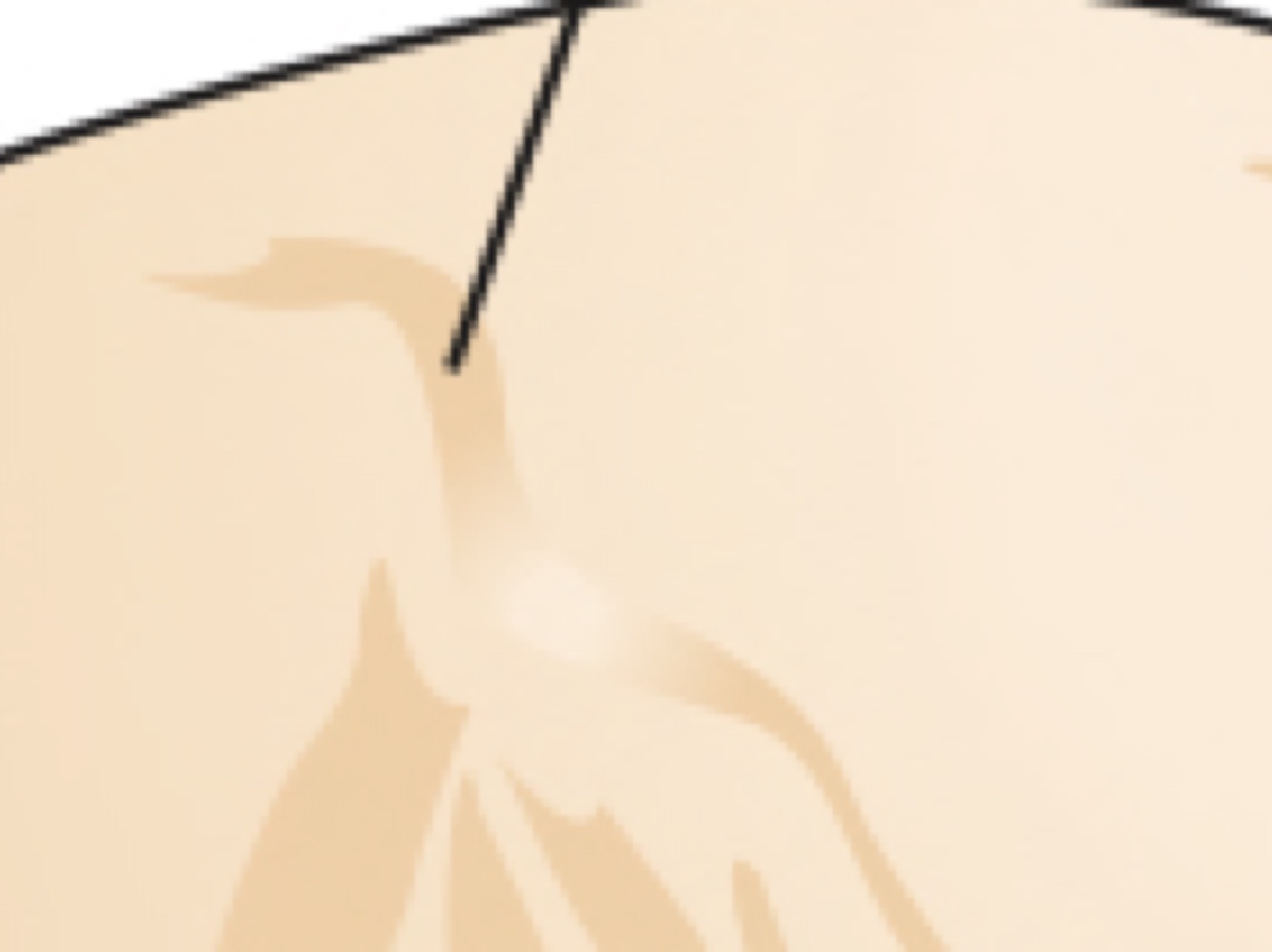 Ilium (point of the hip)