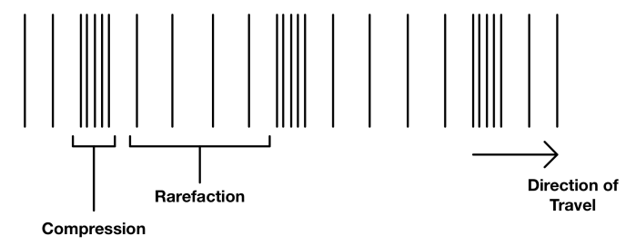 <p>What are examples of longitudinal waves?</p>