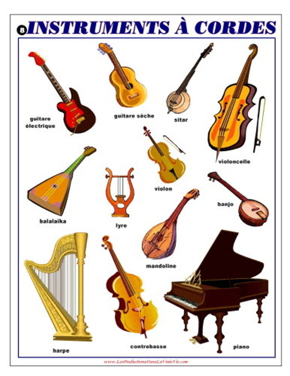 <p>string instruments</p>