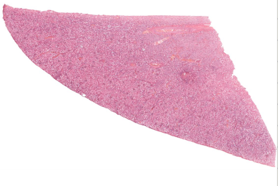 <p>What is this?</p>