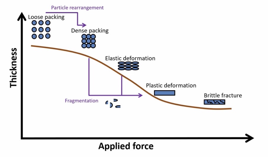 <p><u>As pressure is applied:</u></p><ol><li><p><strong>Loose packing</strong></p></li><li><p><strong>Dense packing</strong> - air removed, particles pushed close together</p></li><li><p><strong>Elastic deformation</strong> - shape of particles changes, reverses when pressure is removed</p></li><li><p><strong>Plastic deformation</strong> - permanent change in shape, <mark data-color="yellow" style="background-color: yellow; color: inherit;">tablet is formed</mark></p></li></ol><p></p><p><u>However, if too much pressure is applied:</u></p><ol start="5"><li><p><strong>Brittle fracture</strong> - tablet breaks into pieces</p></li></ol><p></p>