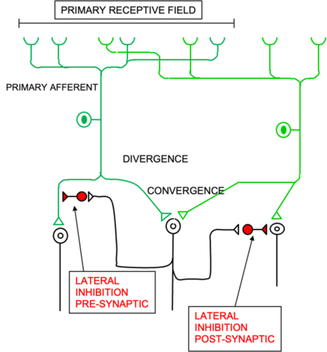 <p>What does convergence ensure?</p>