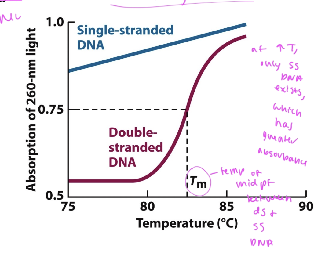 <p>the temp at which half of nucleotides are in dsDNA and half are in ssDNA</p>