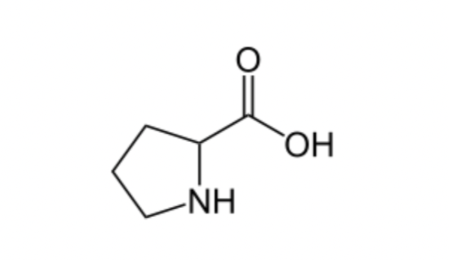 <p>Exception to Amino acid Structure:</p>