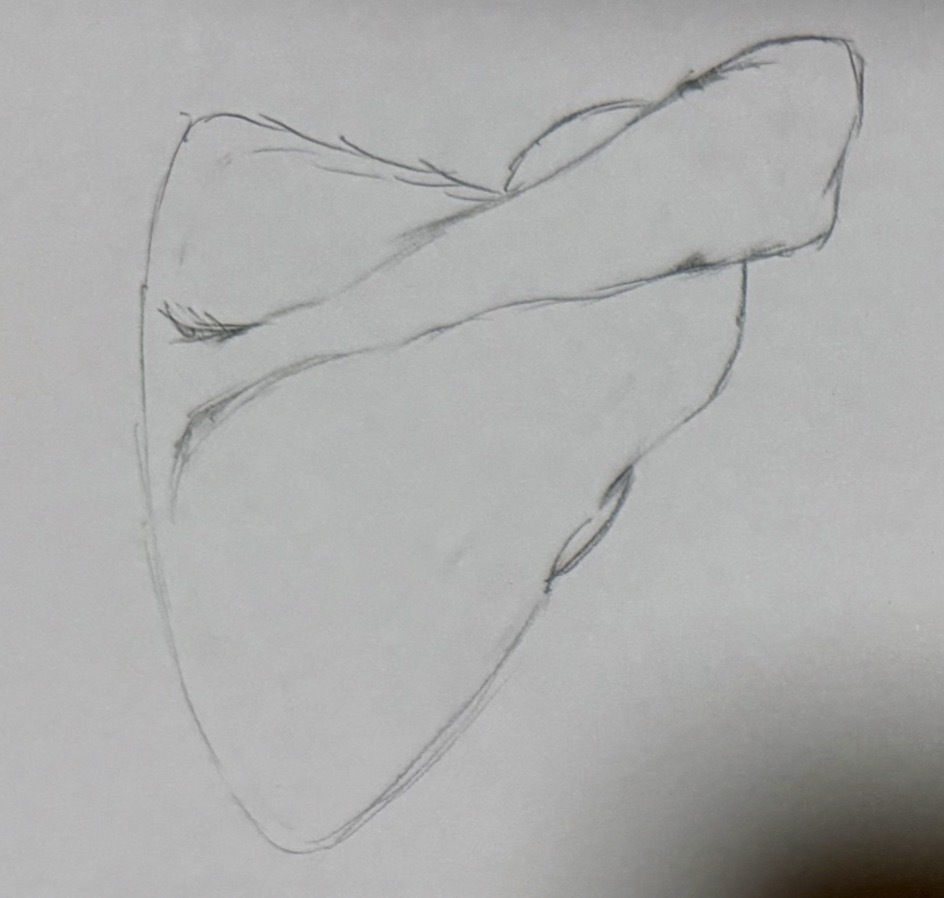 <p>upper region of the shoulder blade</p>