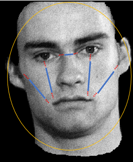 <ul><li><p>processing face as a whole </p></li></ul><p></p>