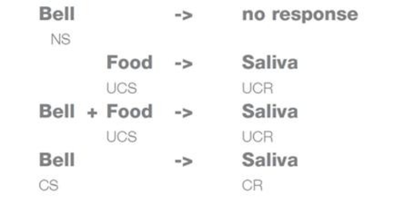 <p>A type of learning progress where an existing involuntary reflex response becomes associated with a new stimulus, eliciting a consitioned response</p>