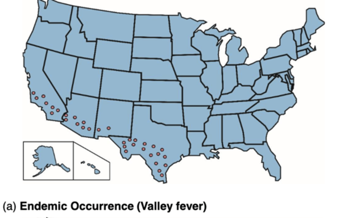 <p>disease that exhibits a relatively steady frequency over a long period of time in a particular geographic locale</p>