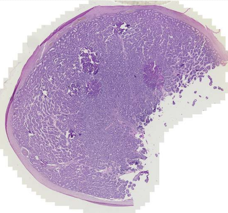 <p>What is this?</p>