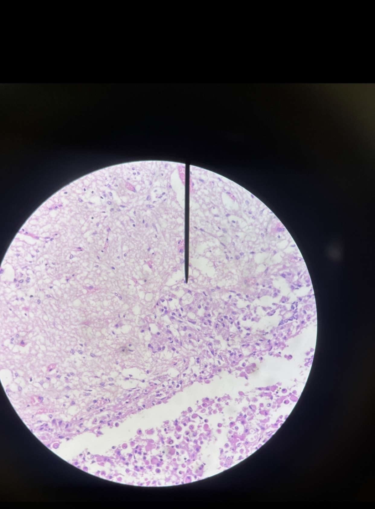 <p>What is this?</p>