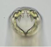 <p>Hookworm</p><p><strong><span>Ancylostoma Caninum</span></strong></p><p><strong><span>SI</span></strong></p><p><strong><span>Tracheal, oral, somatic&nbsp;</span></strong></p><p><strong><span>Dog, wolf</span></strong></p><p></p><p><strong><span>Bloody diarrhoea + Anaemia in puppies</span></strong></p><p><span><span>-</span></span><span style="font-family: "Times New Roman"; line-height: normal; font-size: 7pt;"><span>&nbsp;&nbsp;&nbsp;&nbsp;&nbsp;&nbsp;&nbsp; </span></span>Dx eggs – faecal smear, faecal flotation</p><p class="MsoListParagraphCxSpMiddle"><span><span>-</span></span><span style="font-family: "Times New Roman"; line-height: normal; font-size: 7pt;"><span>&nbsp;&nbsp;&nbsp;&nbsp;&nbsp;&nbsp;&nbsp; </span></span>Low numbers of eggs considering dz severity:</p><p class="MsoListParagraphCxSpMiddle"><span style="font-family: "Courier New";"><span>o</span></span><span style="font-family: "Times New Roman"; line-height: normal; font-size: 7pt;"><span>&nbsp;&nbsp; </span></span>Many worms likely immature – very pathogenic, don’t lay eggs</p><p class="MsoListParagraphCxSpLast"></p><p class="MsoListParagraphCxSpLast"><span><span>-</span></span><span style="font-family: "Times New Roman"; line-height: normal; font-size: 7pt;"><span>&nbsp;&nbsp;&nbsp;&nbsp;&nbsp;&nbsp;&nbsp; </span></span>Txm to puppies</p><p class="MsoListParagraphCxSpMiddle"><span style="font-family: "Courier New";"><span>o</span></span><span style="font-family: "Times New Roman"; line-height: normal; font-size: 7pt;"><span>&nbsp;&nbsp; </span></span>Via milk most likely</p><p class="MsoListParagraphCxSpMiddle"><span style="font-family: "Courier New";"><span>o</span></span><span style="font-family: "Times New Roman"; line-height: normal; font-size: 7pt;"><span>&nbsp;&nbsp; </span></span>Hypobiotic larvae in tissue of female, reactivation during preg last trimester</p><p class="MsoListParagraphCxSpMiddle"><span style="font-family: "Courier New";"><span>o</span></span><span style="font-family: "Times New Roman"; line-height: normal; font-size: 7pt;"><span>&nbsp;&nbsp; </span></span>Insensitive to Tx during hypobiosis, may have been reactivated also from Tx<br>(decline in adult population in female)</p><p class="MsoListParagraphCxSpMiddle"><span style="font-family: "Courier New";"><span>o</span></span><span style="font-family: "Times New Roman"; line-height: normal; font-size: 7pt;"><span>&nbsp;&nbsp; </span></span><strong>But many routes of Txm from L3</strong></p><ul><li><p class="MsoListParagraphCxSpMiddle">Percutaneous</p></li><li><p class="MsoListParagraphCxSpLast"><span style="font-size: 7pt;"><span>&nbsp;</span></span>ingestion (milk, PH, env)</p></li><li><p class="MsoListParagraphCxSpLast"></p></li></ul><p class="MsoListParagraphCxSpLast"><span><span>-</span></span><span style="font-family: "Times New Roman"; line-height: normal; font-size: 7pt;"><span>&nbsp;&nbsp;&nbsp;&nbsp;&nbsp;&nbsp;&nbsp; </span></span>c/signs</p><p class="MsoListParagraphCxSpMiddle"><span style="font-family: "Courier New";"><span>o</span></span><span style="font-family: "Times New Roman"; line-height: normal; font-size: 7pt;"><span>&nbsp;&nbsp; </span></span>feed on mucosa and blood, change feeding sites 4-6x per day</p><p class="MsoListParagraphCxSpMiddle"><span style="font-family: "Courier New";"><span>o</span></span><span style="font-family: "Times New Roman"; line-height: normal; font-size: 7pt;"><span>&nbsp;&nbsp; </span></span>leave behind bleeding wounds, large amounts of blood lost through GIT</p><p class="MsoListParagraphCxSpMiddle"><span><span>-</span></span><span style="font-family: "Times New Roman"; line-height: normal; font-size: 7pt;"><span>&nbsp;&nbsp;&nbsp;&nbsp;&nbsp;&nbsp;&nbsp; </span></span>how to Tx</p><p class="MsoListParagraphCxSpMiddle"><span style="font-family: "Courier New";"><span>o</span></span><span style="font-family: "Times New Roman"; line-height: normal; font-size: 7pt;"><span>&nbsp;&nbsp; </span></span>eliminate parasites immediately – pyrantel, BZ, ML</p><p class="MsoListParagraphCxSpLast"><span style="font-family: "Courier New";"><span>o</span></span><span style="font-family: "Times New Roman"; line-height: normal; font-size: 7pt;"><span>&nbsp;&nbsp; </span></span>supportive Tx – blood transfusion, Fe, fluids, enteral nutrition ASAP</p><p class="MsoListParagraphCxSpLast"></p><p class="MsoListParagraphCxSpLast"><span><span>-</span></span><span style="font-family: "Times New Roman"; line-height: normal; font-size: 7pt;"><span>&nbsp;&nbsp;&nbsp;&nbsp;&nbsp;&nbsp;&nbsp; </span></span>prevention</p><p class="MsoListParagraphCxSpMiddle"><span style="font-family: "Courier New";"><span>o</span></span><span style="font-family: "Times New Roman"; line-height: normal; font-size: 7pt;"><span>&nbsp;&nbsp; </span></span>Tx puppies at 2wo &amp; every 2w until 3m</p><p class="MsoListParagraphCxSpMiddle"><span style="font-family: "Courier New";"><span>o</span></span><span style="font-family: "Times New Roman"; line-height: normal; font-size: 7pt;"><span>&nbsp;&nbsp; </span></span>Tx female at same time as puppies</p><p class="MsoListParagraphCxSpLast"><span style="font-family: "Courier New";"><span>o</span></span><span style="font-family: "Times New Roman"; line-height: normal; font-size: 7pt;"><span>&nbsp;&nbsp; </span></span>Then treat animals either monthly (NG spectra)</p><p class="MsoListParagraphCxSpLast"></p><p class="MsoListParagraphCxSpLast"><span><span>-</span></span><span style="font-family: "Times New Roman"; line-height: normal; font-size: 7pt;"><span>&nbsp;&nbsp;&nbsp;&nbsp;&nbsp;&nbsp;&nbsp; </span></span>Significance for human health</p><p class="MsoListParagraphCxSpLast"><span style="font-family: "Courier New";"><span>o</span></span><span style="font-family: "Times New Roman"; line-height: normal; font-size: 7pt;"><span>&nbsp;&nbsp; </span></span>CLM, dvp in SI of humans</p><p class="MsoListParagraphCxSpLast"></p>