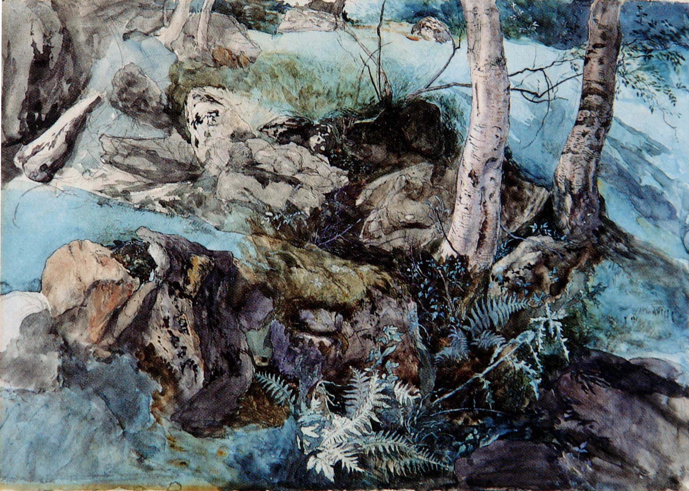 term image