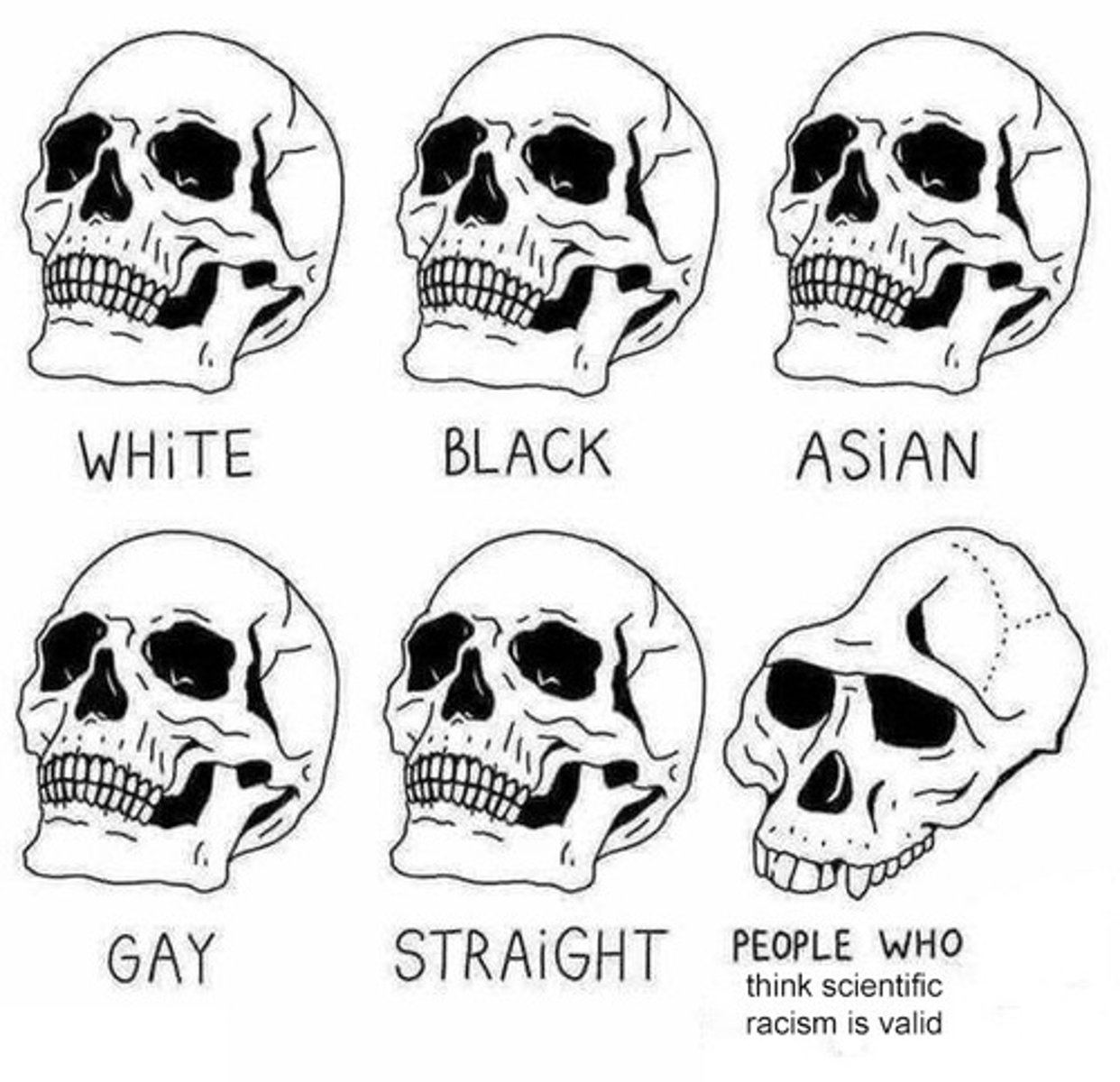 <p>The classification of human beings into distinct biological races.</p>