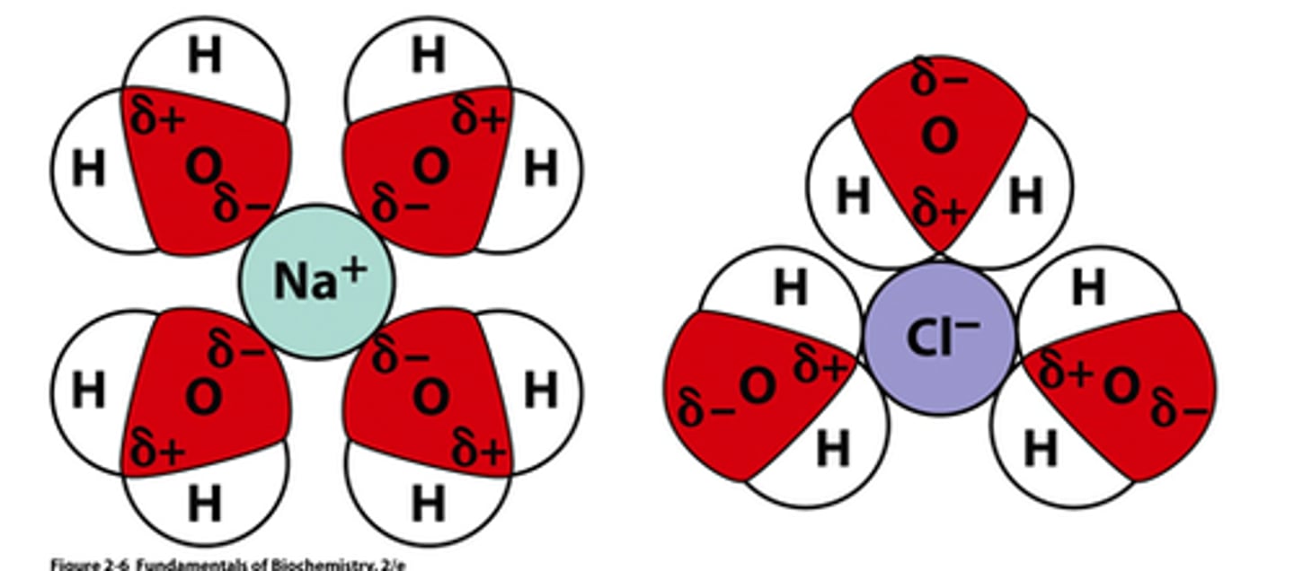 <p>the process by which the positive and negative ions of an ionic solid become surrounded by solvent molecules</p>