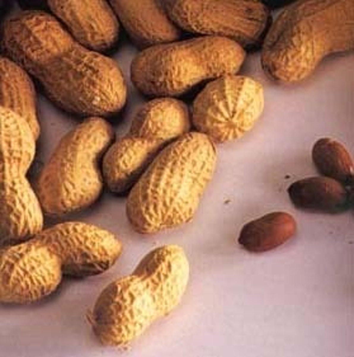 <p>peanuts</p>