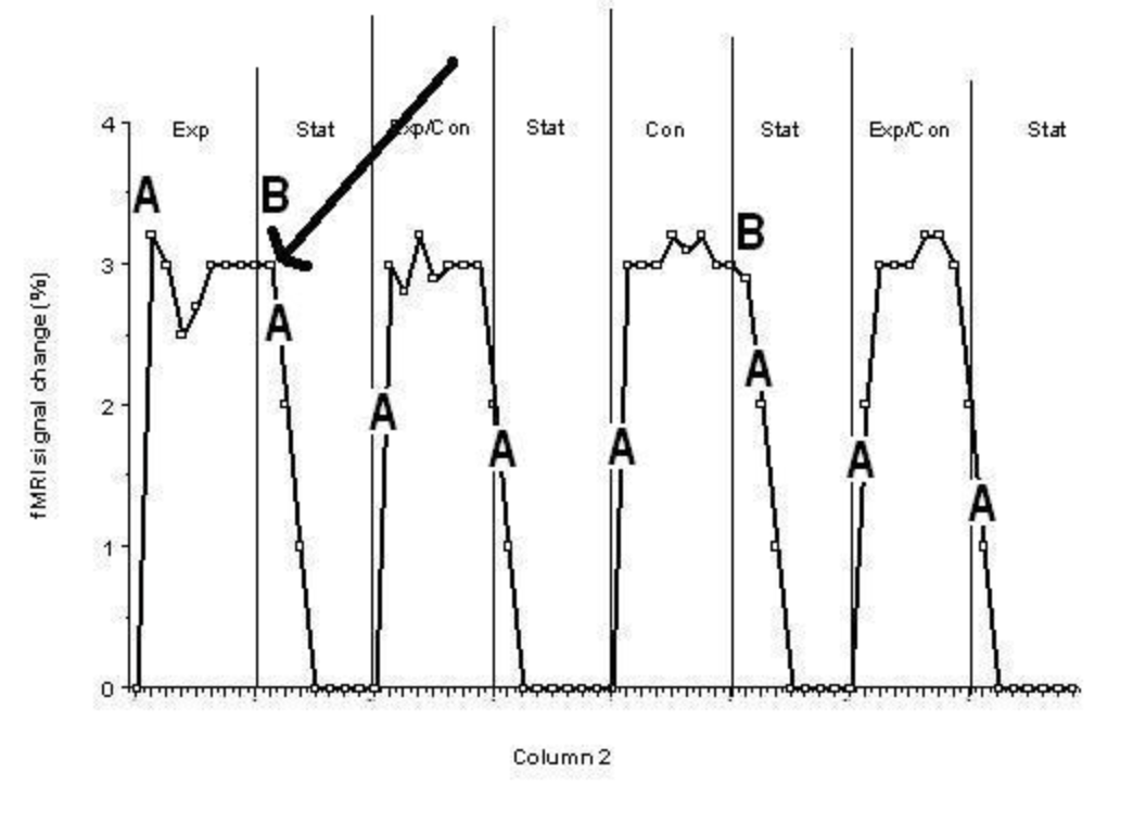 <p>C) FMRI shows activity, but does not say what activity means </p>