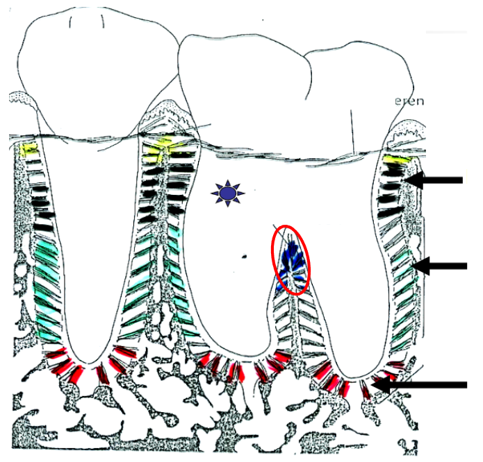 <p>What is this?</p>