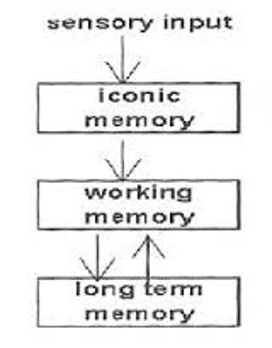 <p>A photographic or picture-image memory lasting no more than a few tenths of a second..where you can see the whole entire image yet may not be able to report/have cognitive for all of it</p><p>this is also Echoic memory is a fast-decaying store of auditory information.</p>