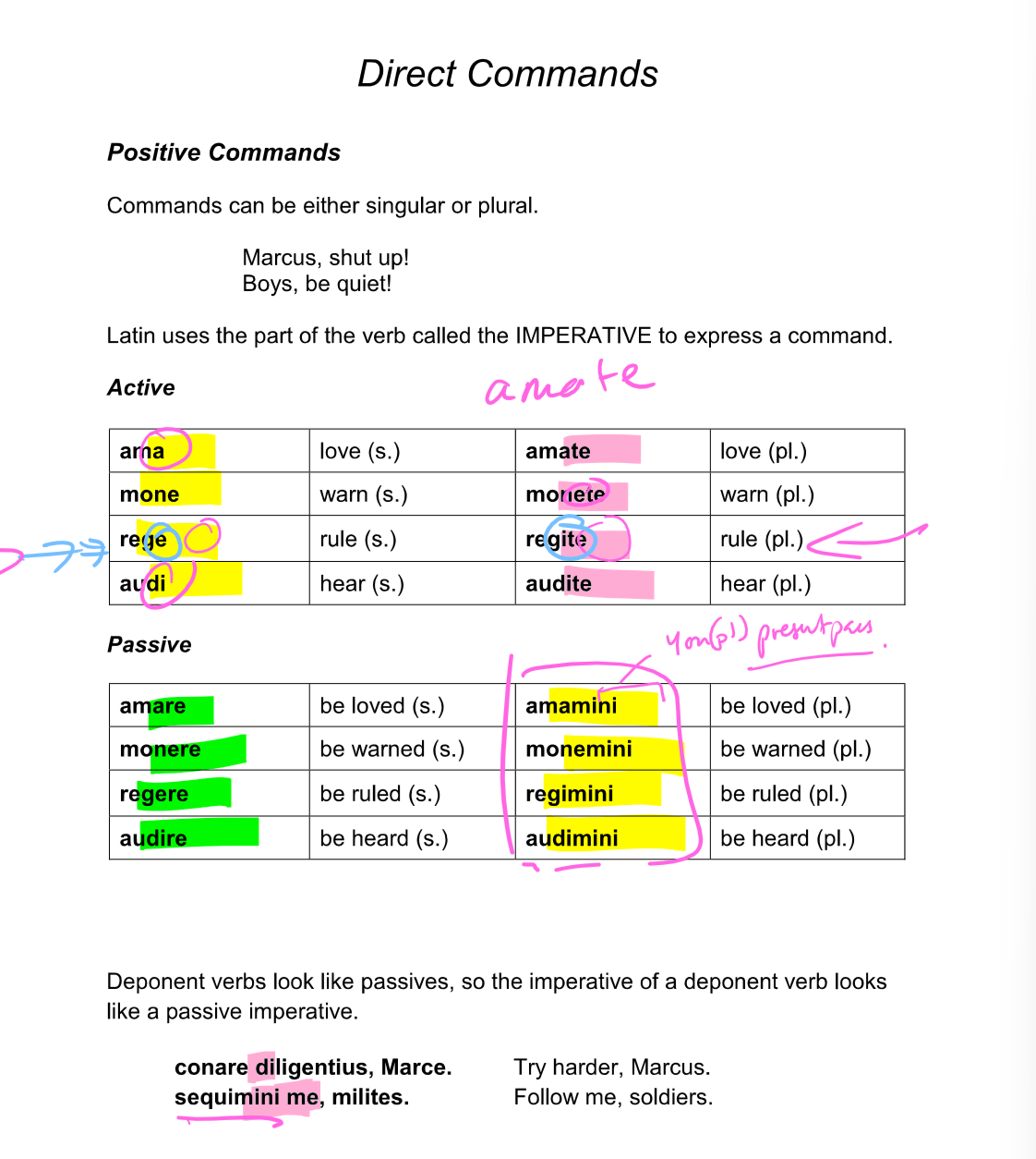 knowt flashcard image