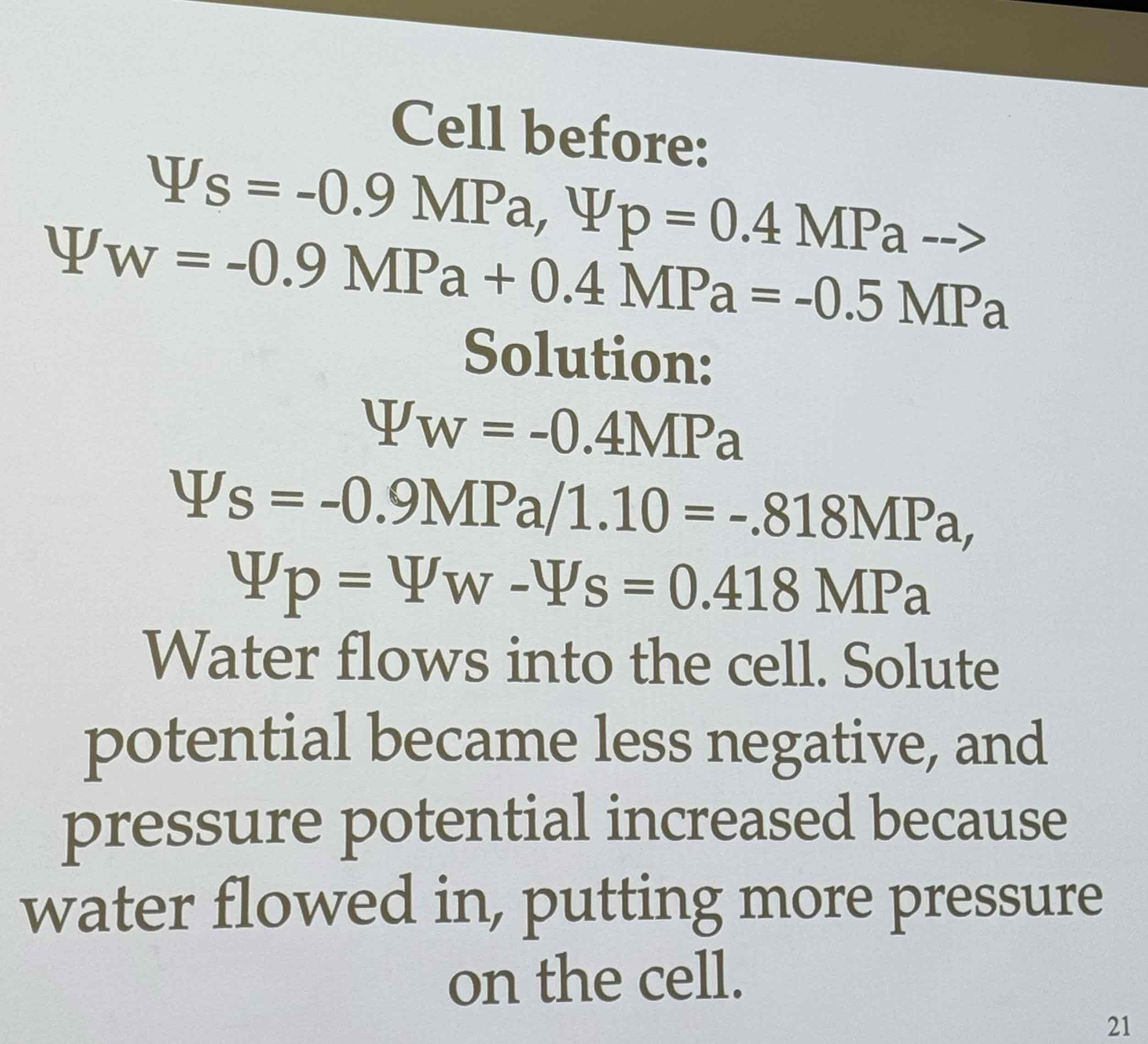 <p>Water flows into the cell. Solute potential became less negative, and pressure potential increased because water flowed in, putting more pressure on the cell </p>